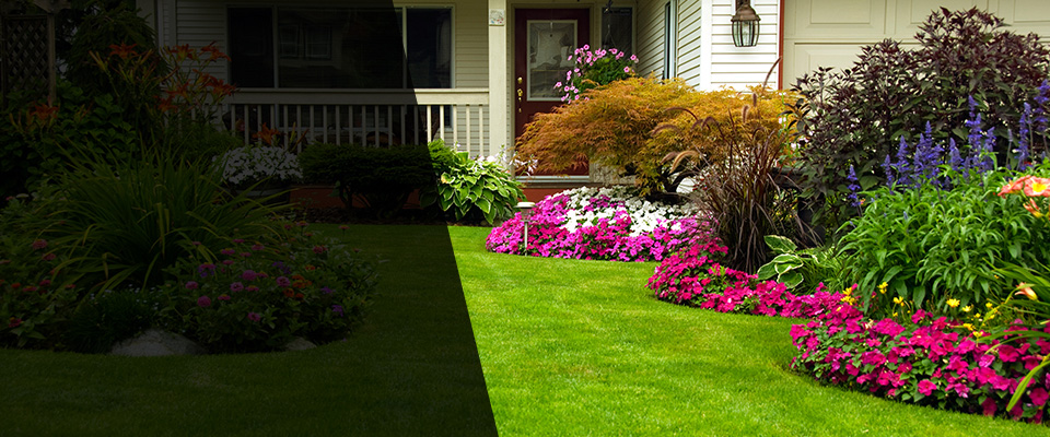Greenville Landscapers